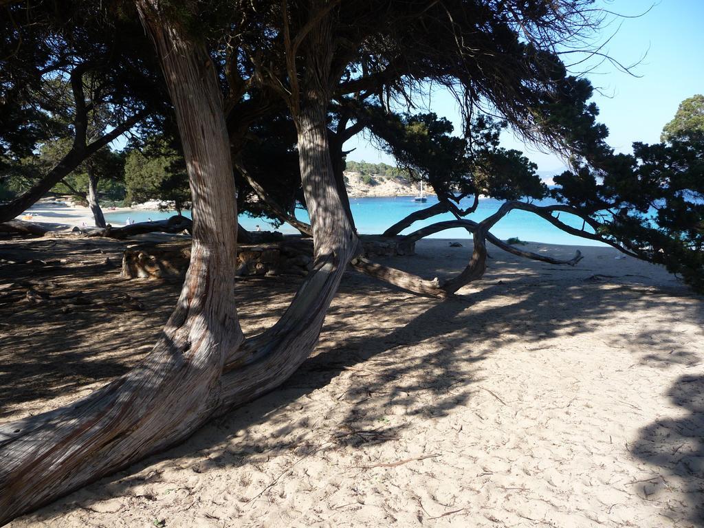 Hostal Yebisah Santa Eularia des Riu Bagian luar foto